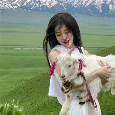 失控好莱坞